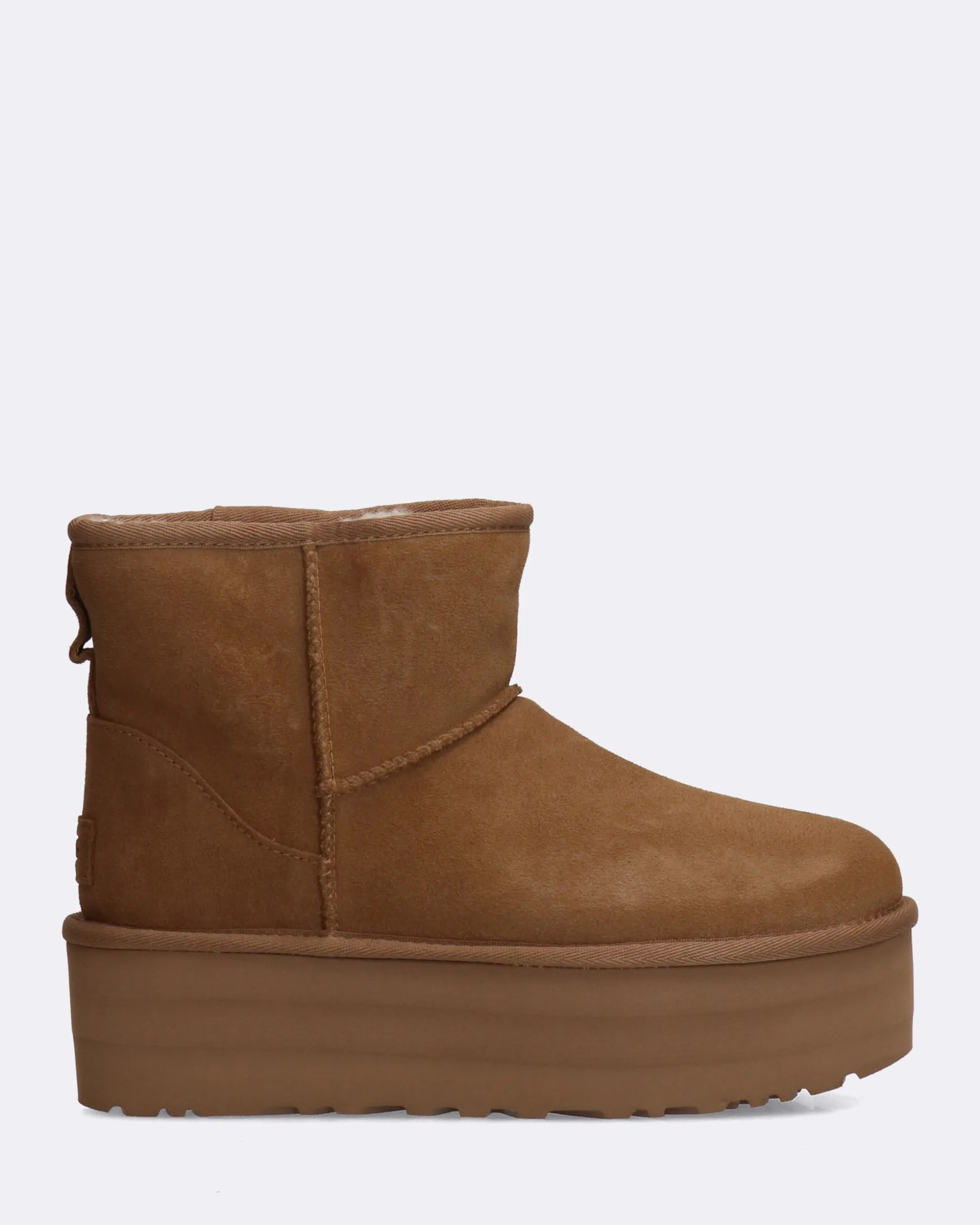 Stivaletti Classic Mini Platform Nocciola