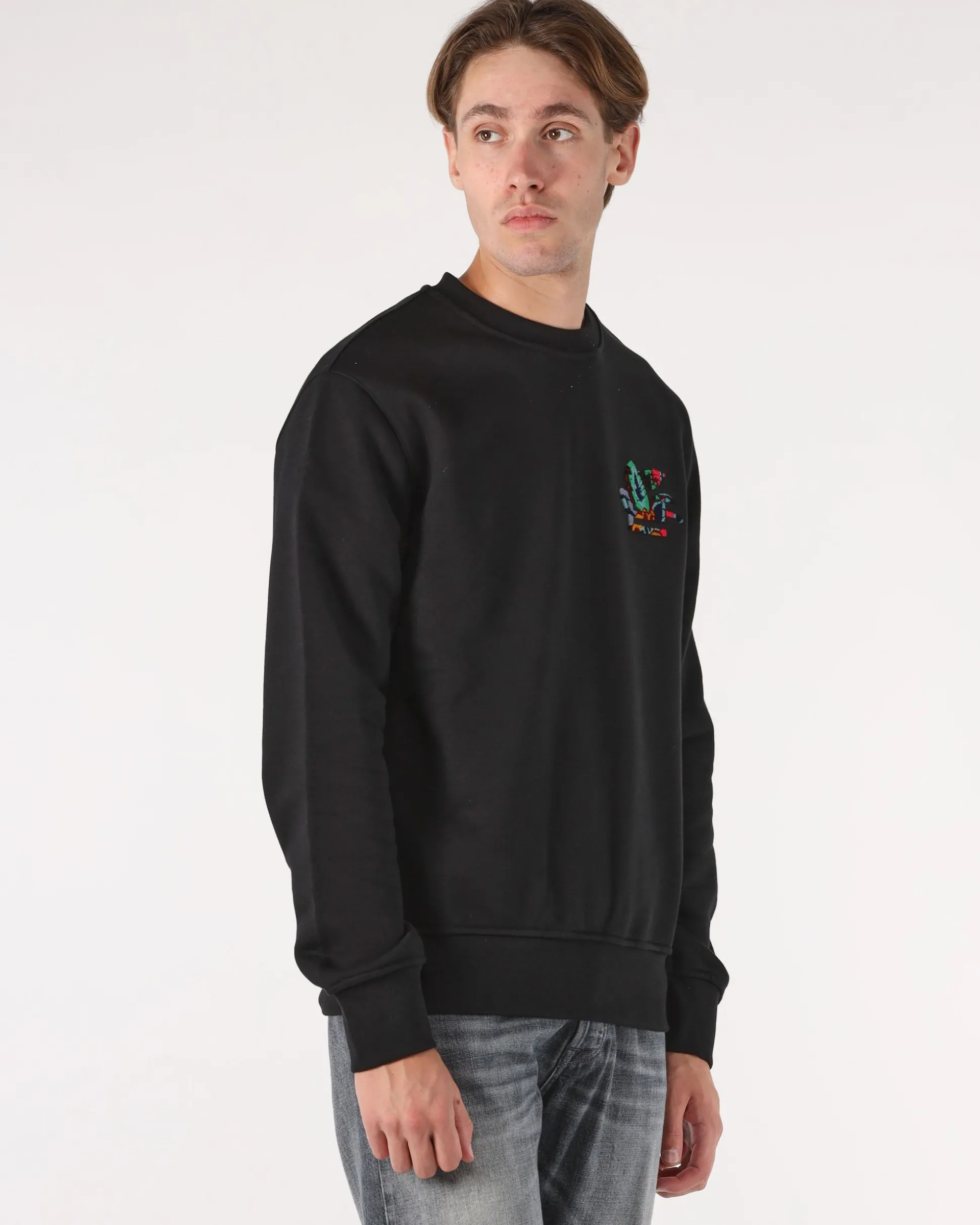 Sweatshirt con Pegaso